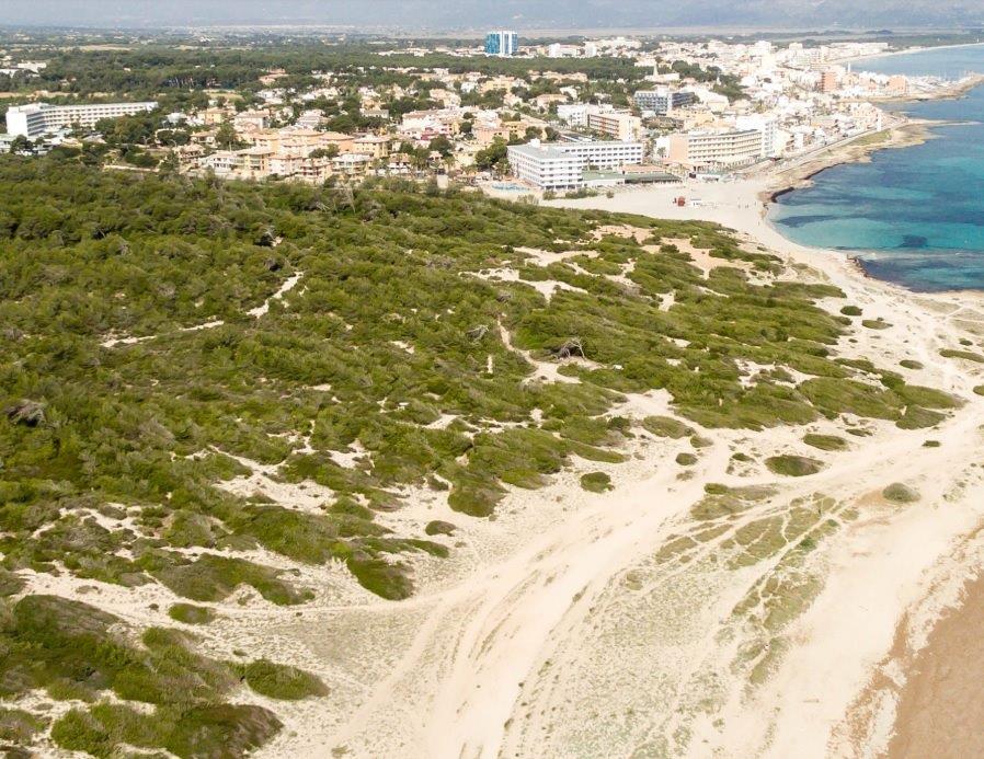 Hotel Son Baulo Can Picafort (Mallorca)